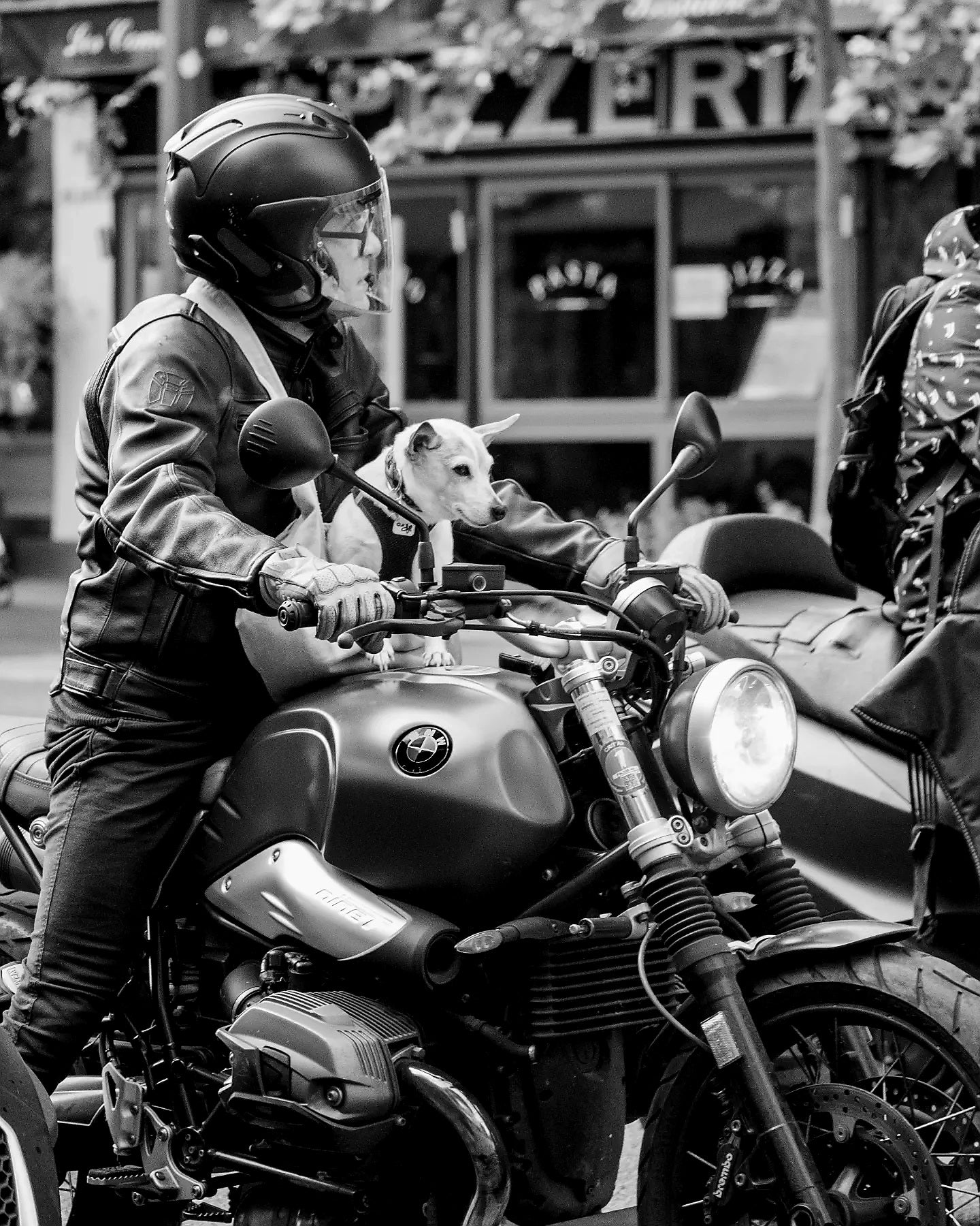 Rider à quatre pattes - FBvisuals