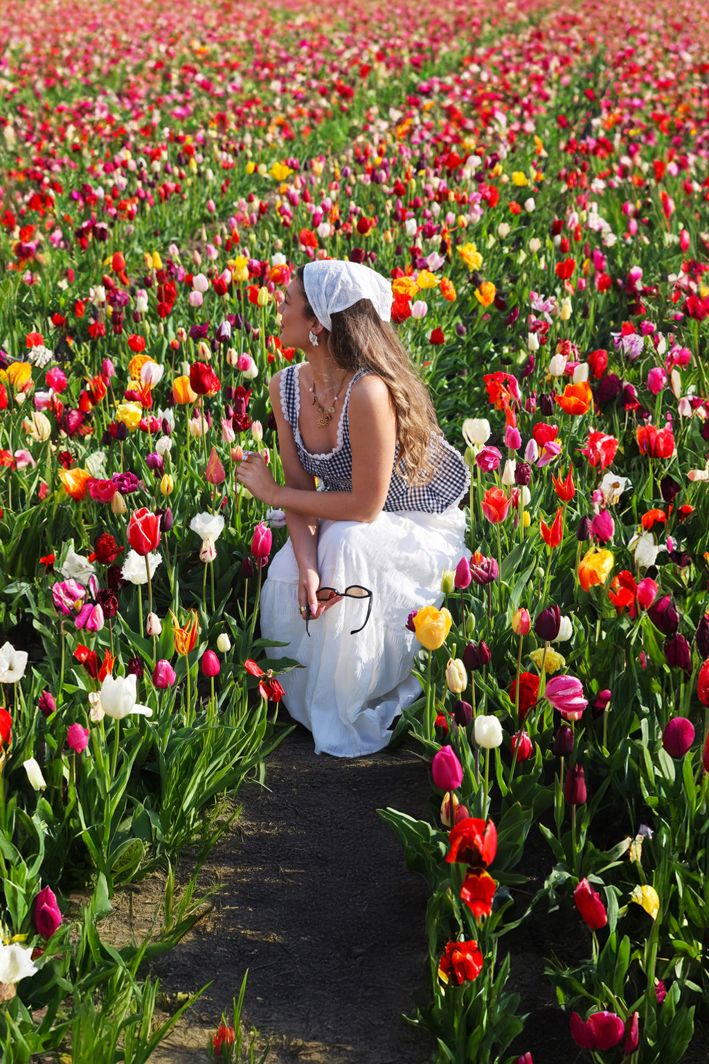 Ballade en Hollande - CT11